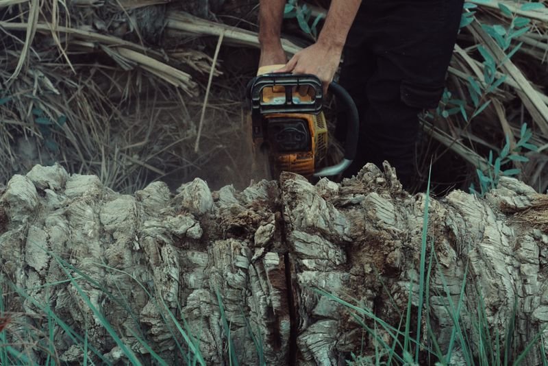 Heckenschneider im Einsatz an einer Hecke über einer Natursteinmauer